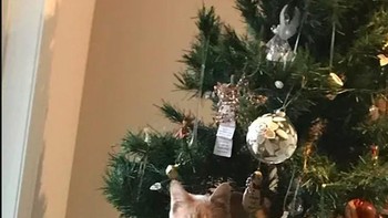 Atau jadinya bakal seperti ini. Foto: via 9Gag