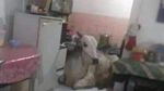 Nggak Kepikiran! 10 Netizen Ini Punya Konsep Dapur yang Terlalu Kreatif