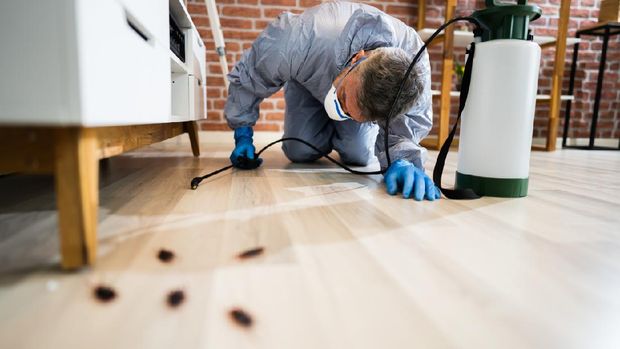 Pest Control Exterminator Services Spraying Cockroach Insecticide
