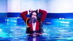 Potret Duyung, Santa Klaus dan Natal Bawah Laut