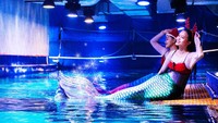 Yang pertama ada puteri duyung dalam balutan pakaian Natal yang berwarna merah meriah. Mereka akan menampilan keriaan di bawah air (dok Jakarta Aquarium)