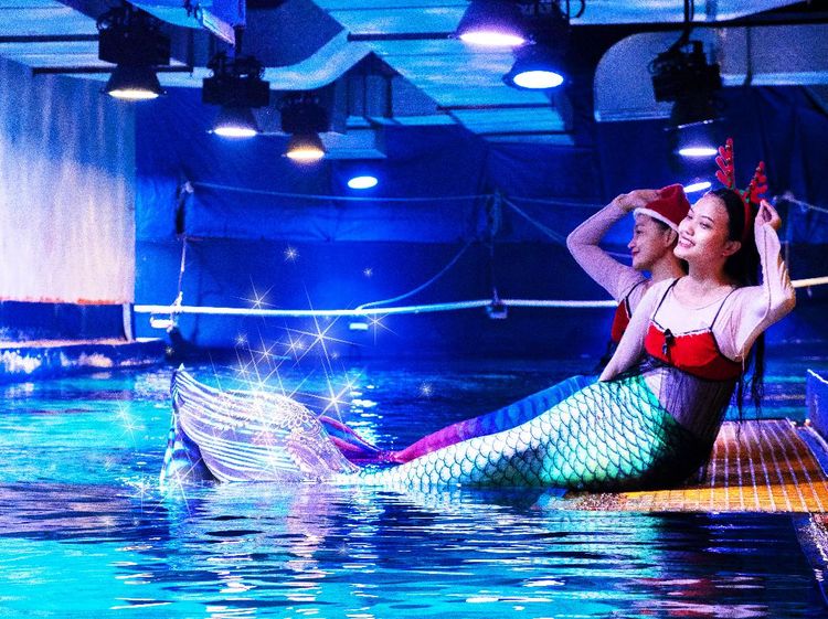 Potret Duyung, Santa Klaus dan Natal Bawah Laut