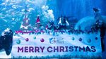 Potret Duyung, Santa Klaus dan Natal Bawah Laut