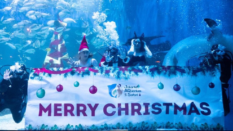 Natal dan Tahun Baru di Jakarta Aquarium.