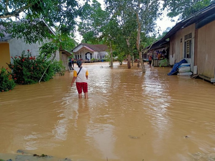 Kondisi banjir yang melanda Kecamatan Sepaku, Kabupaten Penajam Paser Utara, Provinsi Kalimantan Timur pada Jumat (17/12). (dok BNPB)