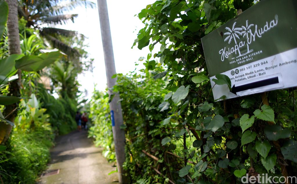 Makan di Kelapa Muda Ubud, Bali bikin Syahdu