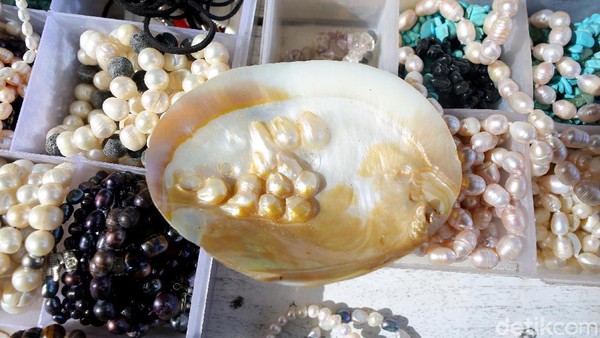 Maka tak heran, banyak pedagang mutiara mudah dijumpai di beberapa spot wisata di Lombok. Salah satunya di Gili Trawangan, Lombok Barat. Maka tak heran, banyak pedagang mutiara mudah dijumpai di beberapa spot wisata di Lombok. Salah satunya di Gili Trawangan, Lombok Barat.