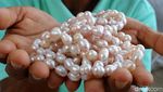 Nasib Tragis Pedagang Mutiara di Gili Trawangan saat Tak Ada Turis