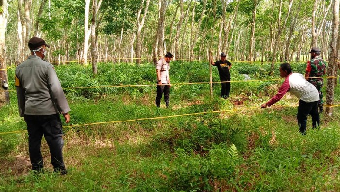 penemuan 206 benda mirip granat tangan ditemukan di area PTPN XII Sumber Jambe Banyuwangi
