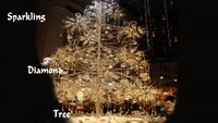 Soo Kee Jewelery Shop Diamond TreeDi pusat perbelanjaan Burgis Junction, Singapura, menyajikan suasana Natal yang berbeda. Pohon natal setinggi 6 meter, berat 3 ton dengan bantalan 21.798 berlian dengan total 913 karat dan 3.762 manik kristal yang menjulur membuat kagum semua orang yang melihatnya.Dengan kemewahan dan ornamen mahal yang digunakan oleh pohon Natal tersebut, keamanan ketat dikerahkan disekitar pohon Natal demi menghindari hal-hal kejahatan yang bisa saja datang dari pengunjung yang tidak menyenangkan.