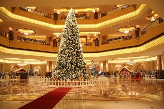 Pohon Natal Pohon Natal