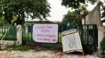 Tanam Pisang Warga Protes Jalan Rusak di Pekanbaru