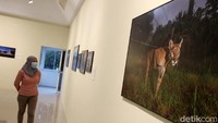 Karya foto ini dibawa ke Indonesia atas dukungan Kedutaan Besar Kerajaan Belanda di Indonesia dan Pusat Kebudayaan Belanda, Erasmus Huis.