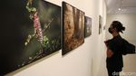 141 Foto Jurnalistik Terbaik Dunia Mejeng di Yogyakarta