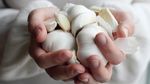 Sering Dianggap Sepele, Bawang Putih Ternyata Punya 9 Manfaat Sehat Ini