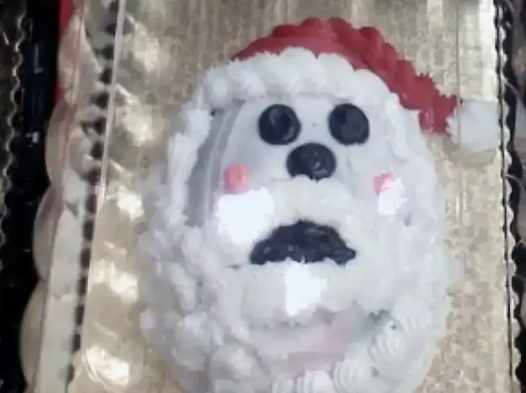 Gagal Bikin Cake Cantik, 10 Cake Natal Ini Bentuknya Malah Tak Karuan