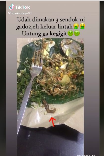 Iyuh! 5 Orang Ini Temukan Cacing hingga Lintah di dalam Makanan