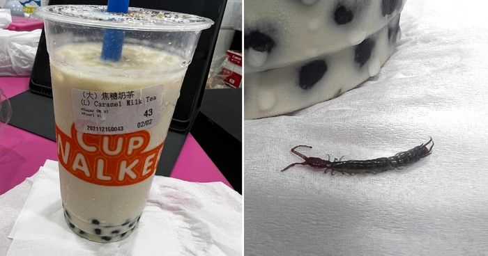 Iyuh! 5 Orang Ini Temukan Cacing hingga Lintah di dalam Makanan
