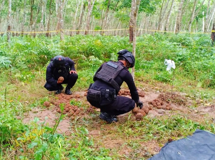 Lokasi Temuan 206 Granat Tangan di Banyuwangi Adalah Basecamp Belanda Pada Masa Penjajahan