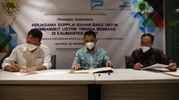 Dari kerja sama ini, konsorsium Indoplas-CEL dan Inhutani berencana memanfaatkan kawasan hutan produksi di area kerja IUPHHK-HTI PT Inhutani III di Kalimantan Barat untuk menanam tanaman kayu energi. 