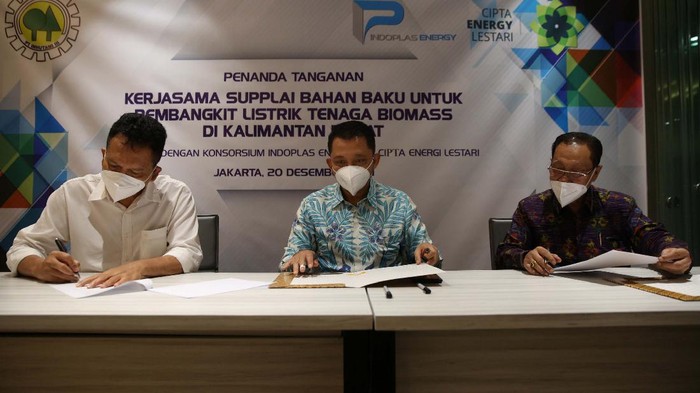 Pemanfaatan Hutan Produksi untuk Tanaman Kayu Energi PT Inhutani III menjalin kerja sama dengan Konsorsium Indoplas-CEL. Nantinya kawasan hutan produksi milik PT Inhutani III di Kalbar akan ditanami tanaman kayu energi.
