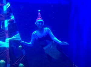 Intip Persiapan Santa Claus dan Mermaid Hias Pohon Natal Bawah Air