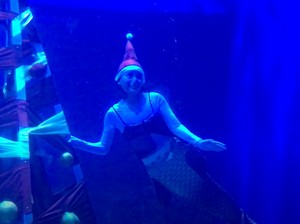 Intip Persiapan Santa Claus dan Mermaid Hias Pohon Natal Bawah Air