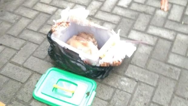 Razman Arif Nasution ngaku diteror paket kepala kambing busuk Razman Arif Nasution ngaku diteror paket kepala kambing busuk. Foto dok. Razman Arif Nasution