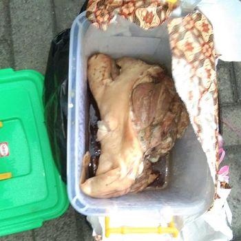 Razman Arif Nasution ngaku diteror paket kepala kambing busuk. Foto dok. Razman Arif Nasution