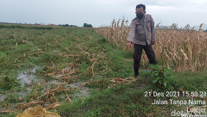 tewas tersambar petir