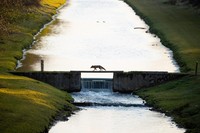 The Nature Photographer of the Year 2021