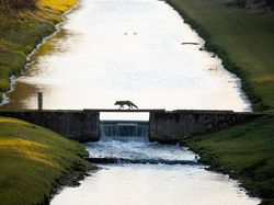 Siap-siap Terkesima, Ini Karya Jawara Kontes Foto Alam 2021