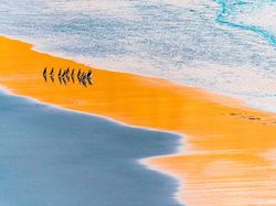 Siap-siap Terkesima, Ini Karya Jawara Kontes Foto Alam 2021