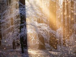 Siap-siap Terkesima, Ini Karya Jawara Kontes Foto Alam 2021