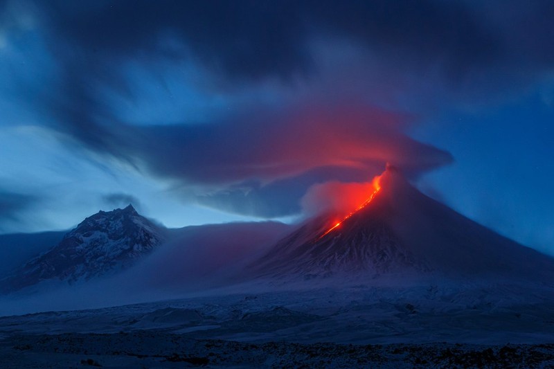 The Nature Photographer of the Year 2021