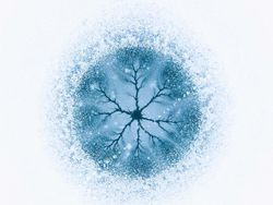 Siap-siap Terkesima, Ini Karya Jawara Kontes Foto Alam 2021