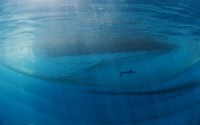 The Nature Photographer of the Year 2021
