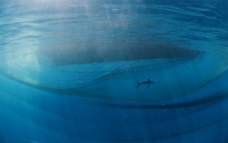 The Nature Photographer of the Year 2021