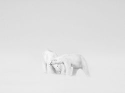 Siap-siap Terkesima, Ini Karya Jawara Kontes Foto Alam 2021