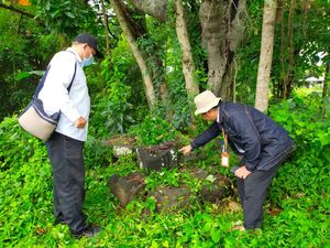 Ada Tumpukan Batu Candi Dekat Kandang Ayam di Klaten, Ini Penampakannya