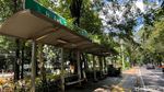 Waduh! Atap Halte Bus Ini Ditumbuhi Tanaman Liar