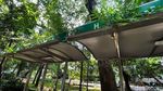 Waduh! Atap Halte Bus Ini Ditumbuhi Tanaman Liar