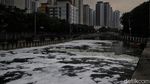 Waduh, Kali Item Kemayoran Dipenuhi Busa