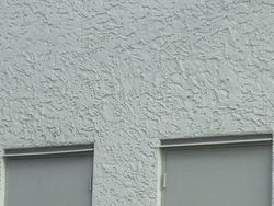 Yakin Mata Kamu Tidak Tertipu Lihat Foto Kamuflase Ini?