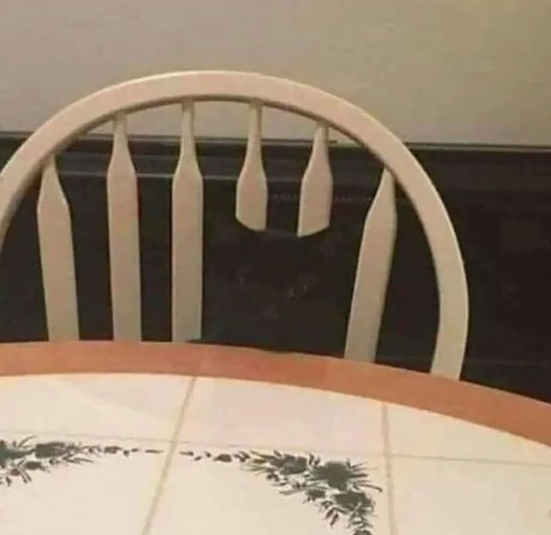 Foto Kamuflase Menipu Mata