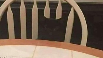 Di manakah kucing berada? Foto: Boredpanda