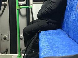 Yakin Mata Kamu Tidak Tertipu Lihat Foto Kamuflase Ini?