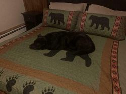 Yakin Mata Kamu Tidak Tertipu Lihat Foto Kamuflase Ini?