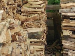 Yakin Mata Kamu Tidak Tertipu Lihat Foto Kamuflase Ini?