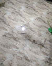 Foto Kamuflase Menipu Mata